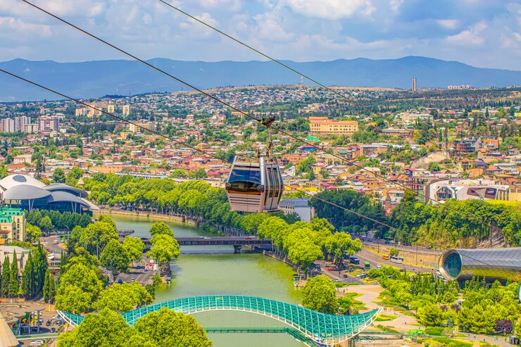 مهاجرت به گرجستان