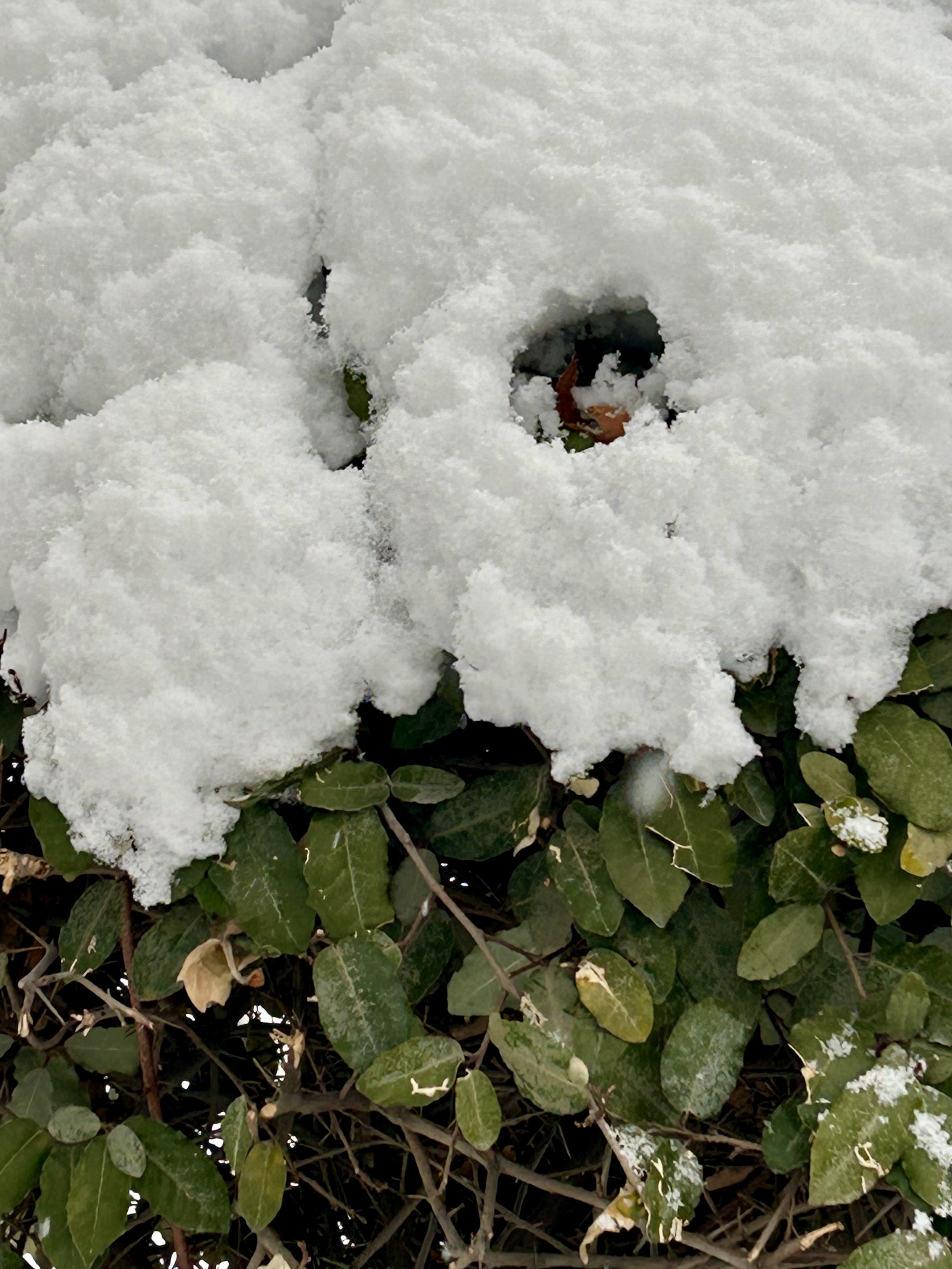 کار دست بنده توسط گلوله برفی نقطه زن