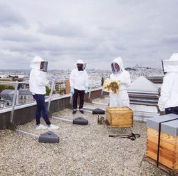 آیا گسترش شغل زنبورداری خوبه؟