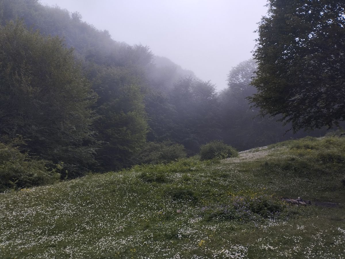 بی ربط ولی بهشتی✨