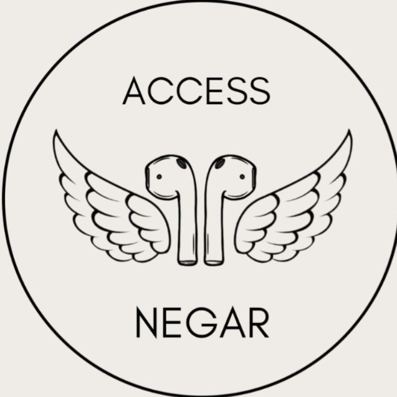 امیرحسین استیری