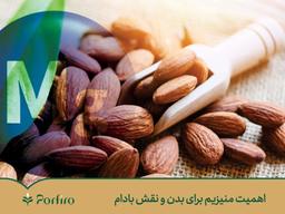 منابع‌ منیزیم‌ و‌ جایگاه‌ بادام