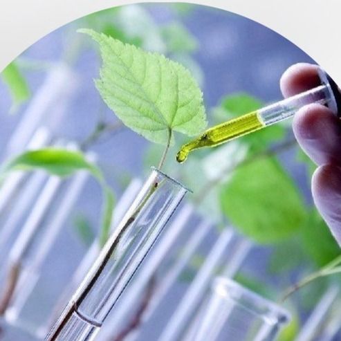 عماد اسدیان