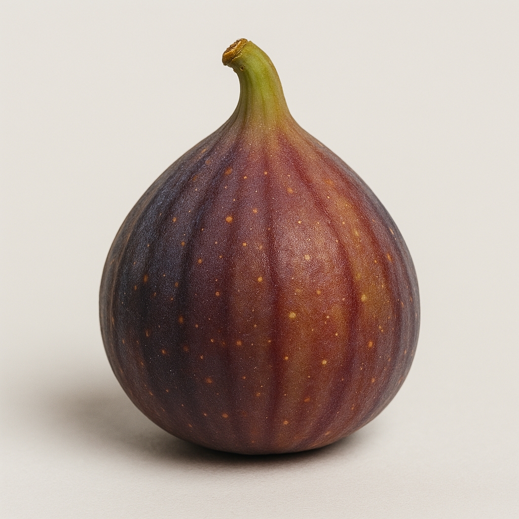 خواص انجیر با عماد اسدیان