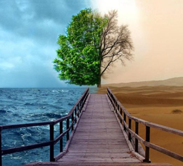 هاتگرام و طلاگرام بهشت زورکی گوگل