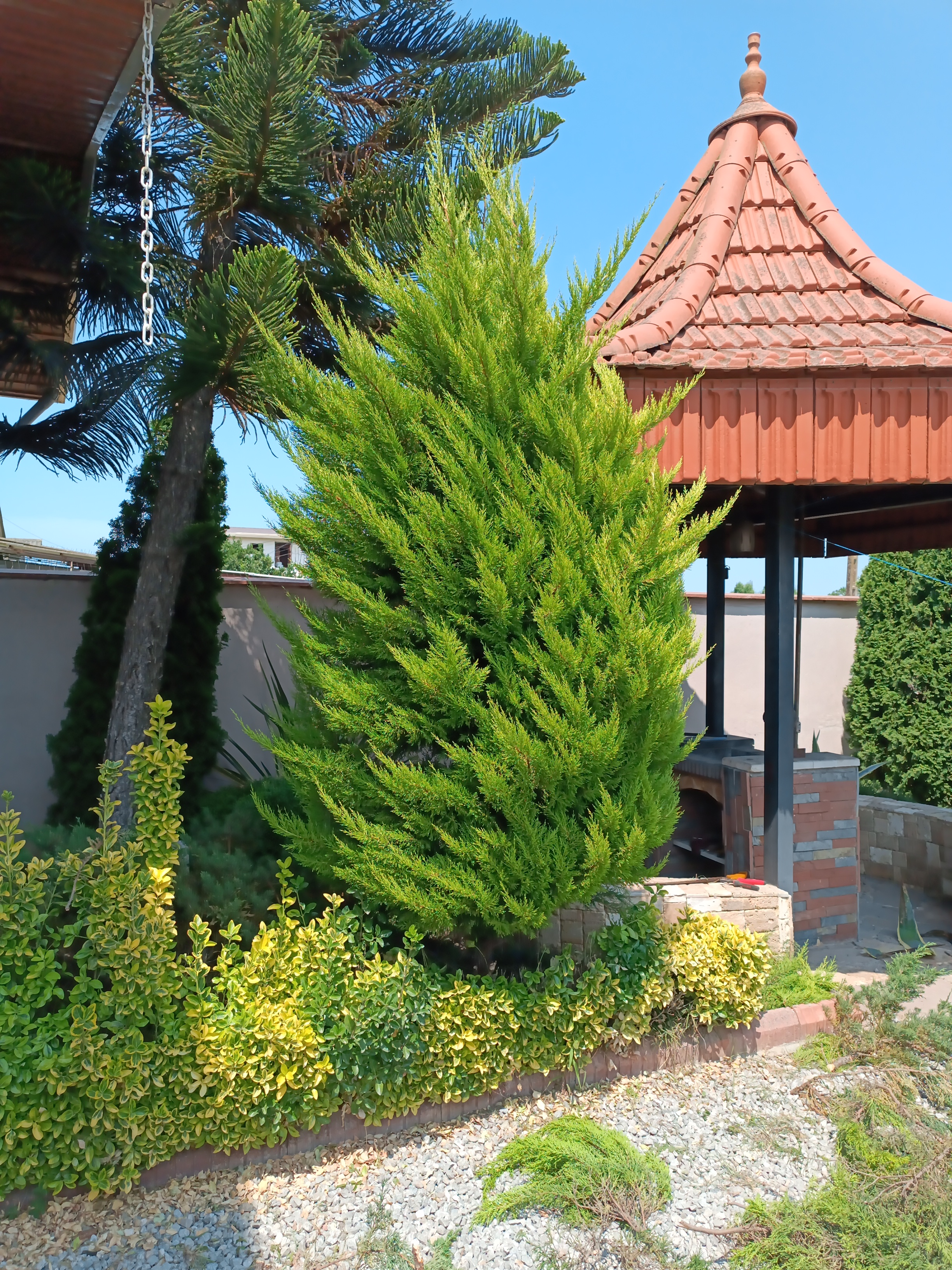 سفر به شمال و ساحل خزر، پیش از طوفان