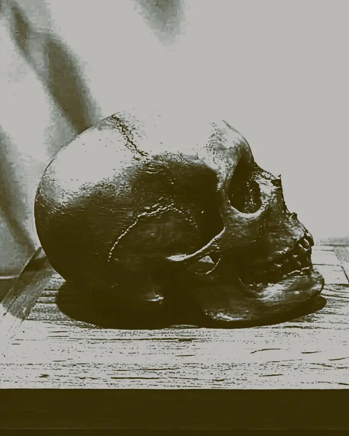 رفیق گرمابه و گلستان!