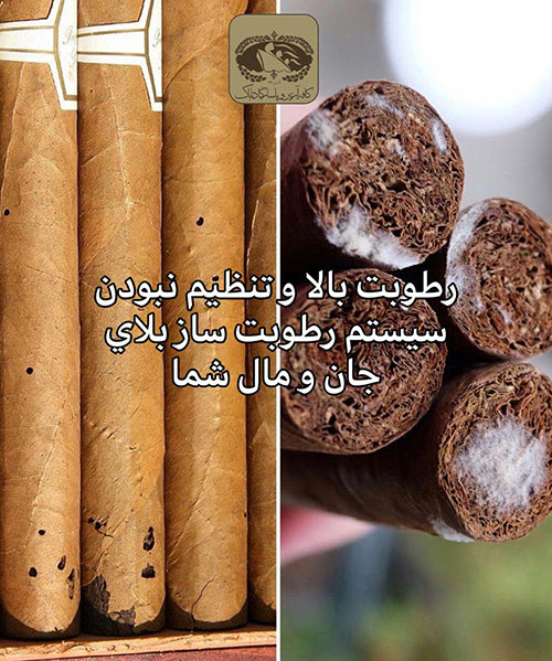 سیگار برگ