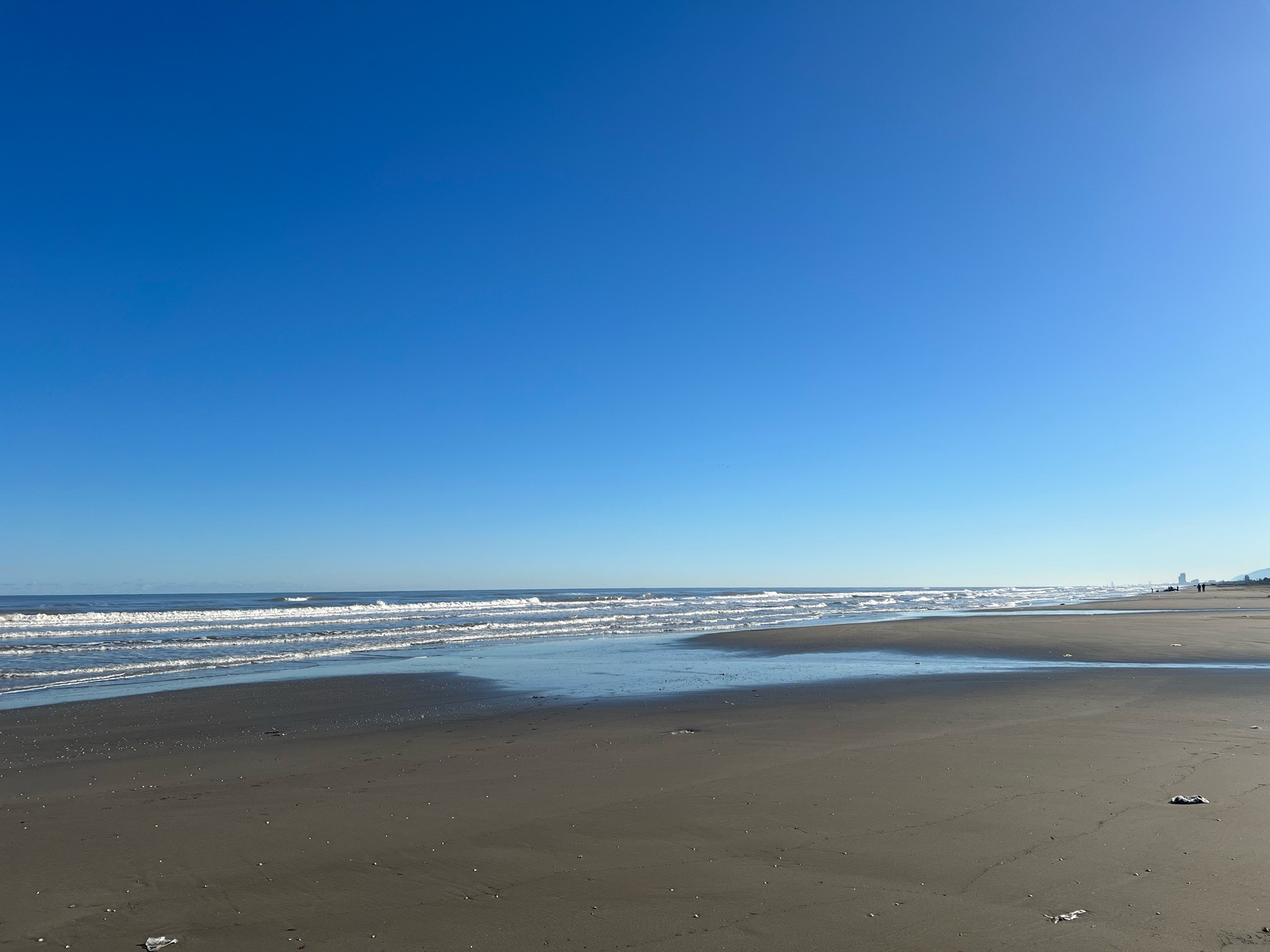 کسی که دلتنگشم به اندازه دریا آبی و زیباست