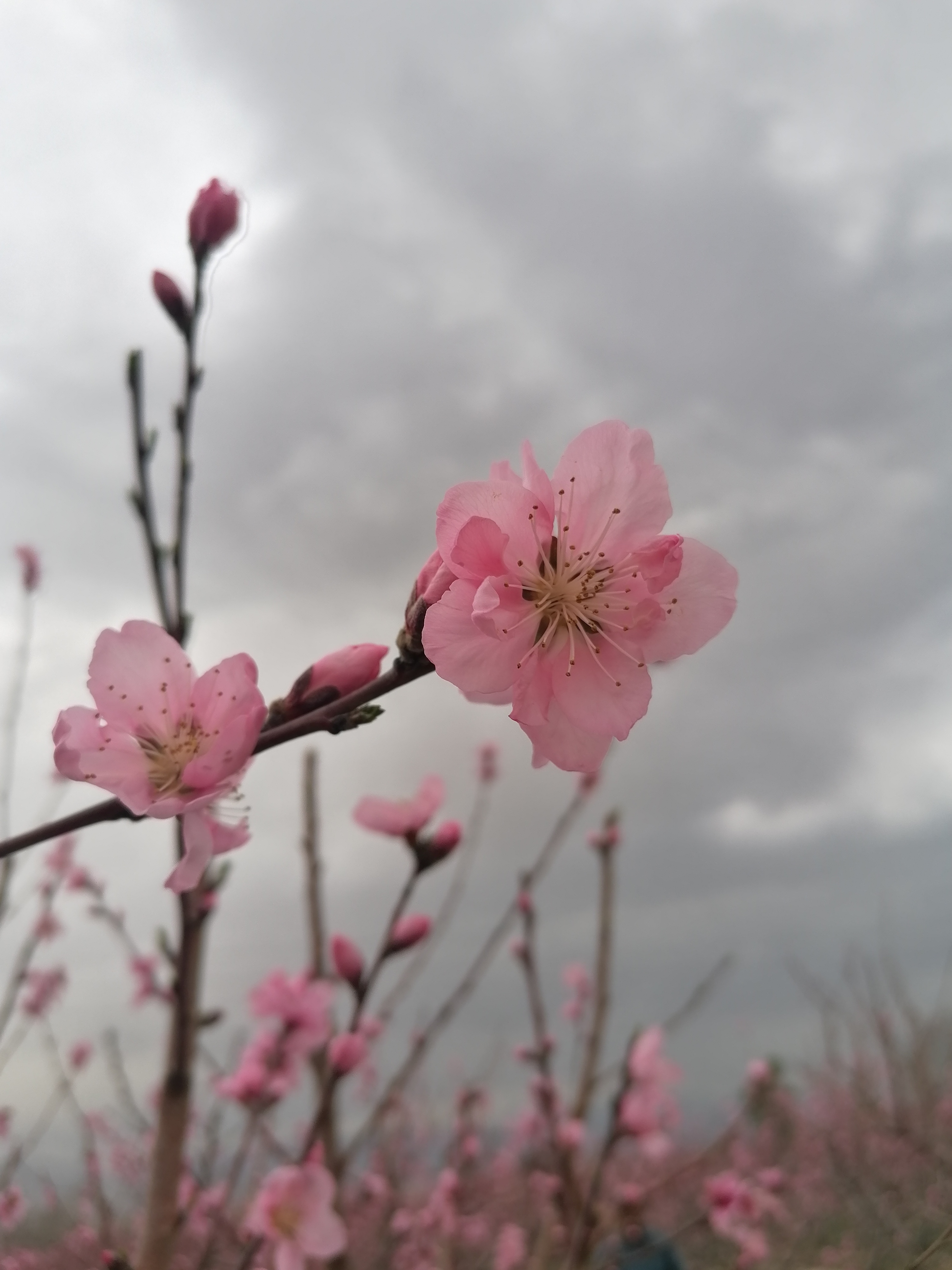 عکس برای امسال نیست.