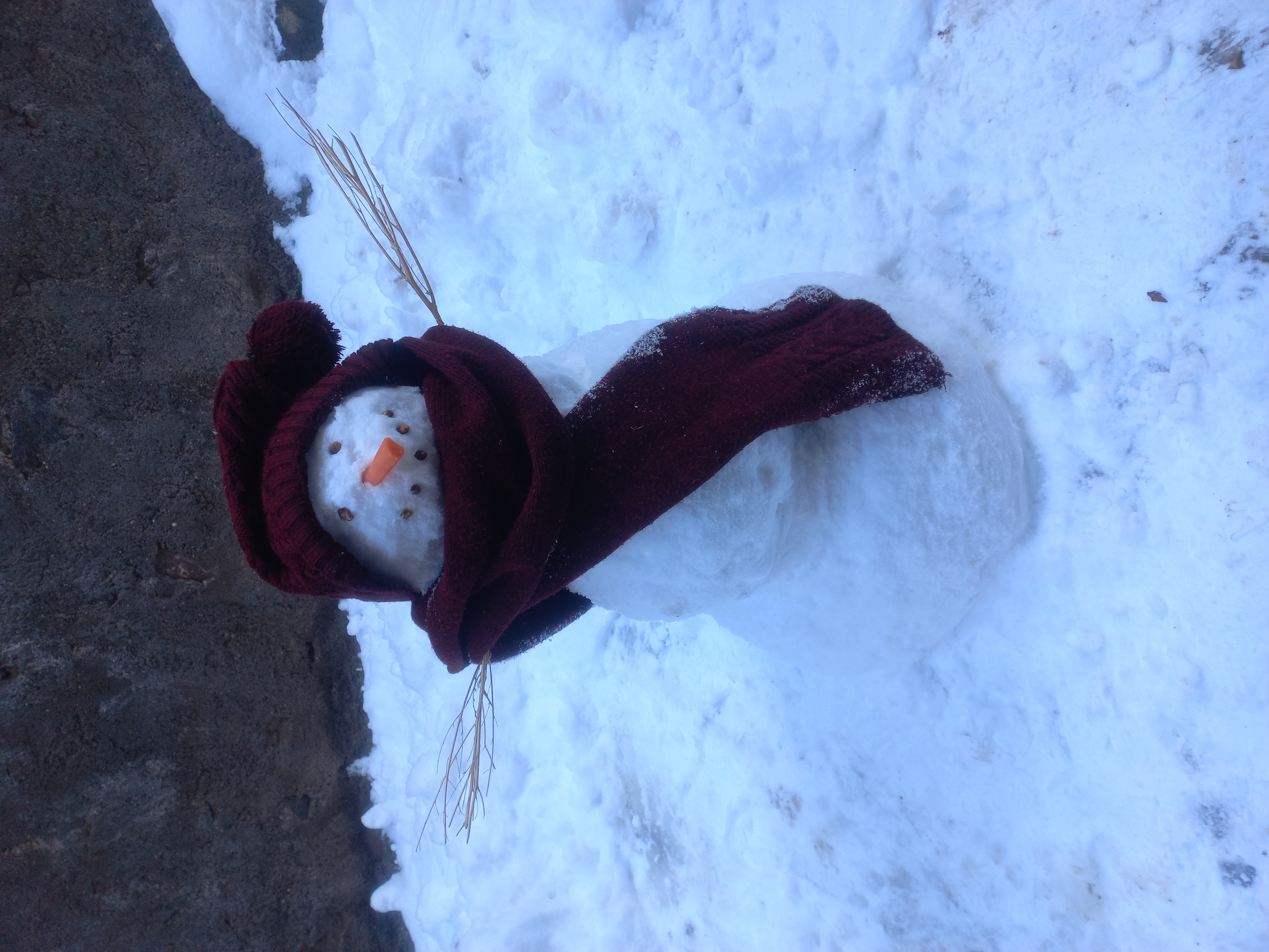 آدم برفی مرحومم.