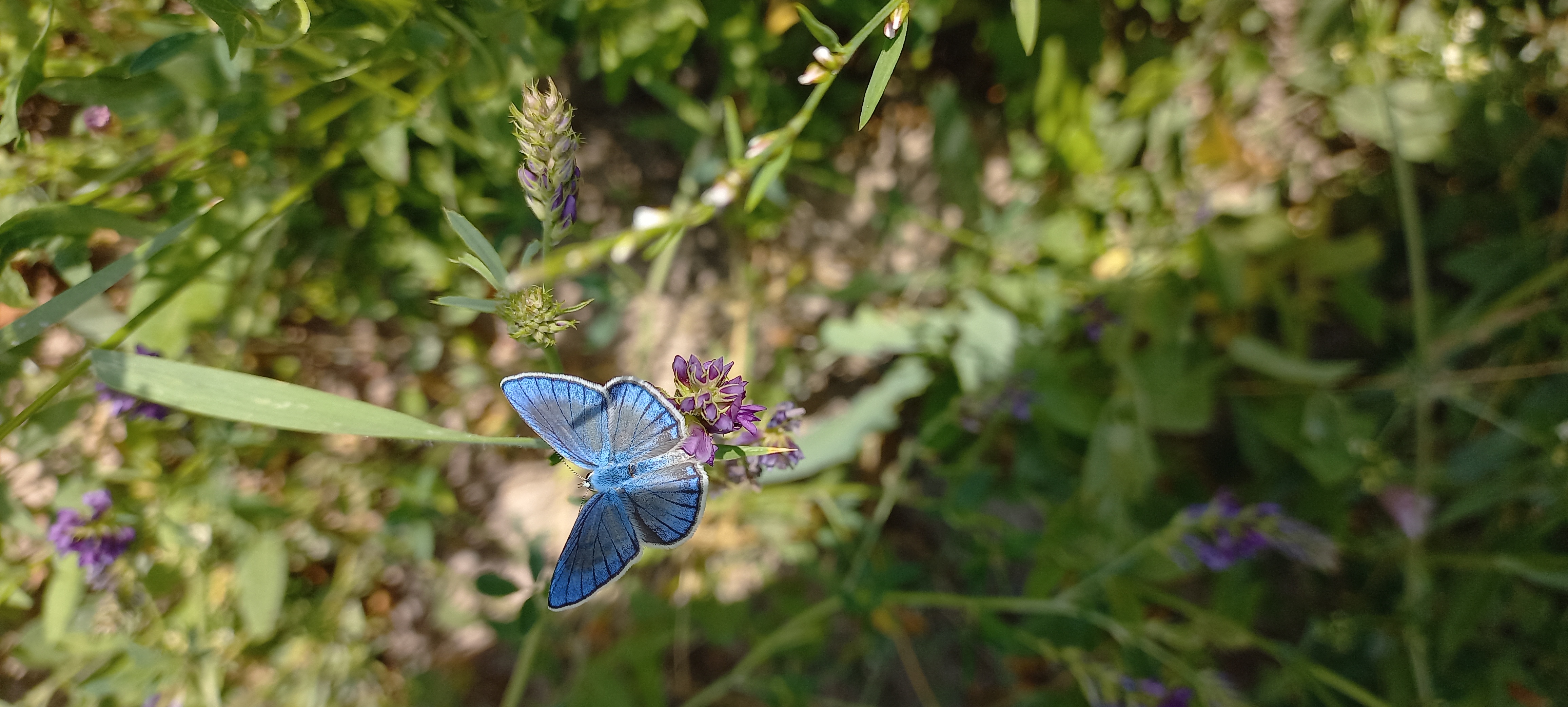 یه زمانی عکاسی توی طبیعت رو دوست داشتم!