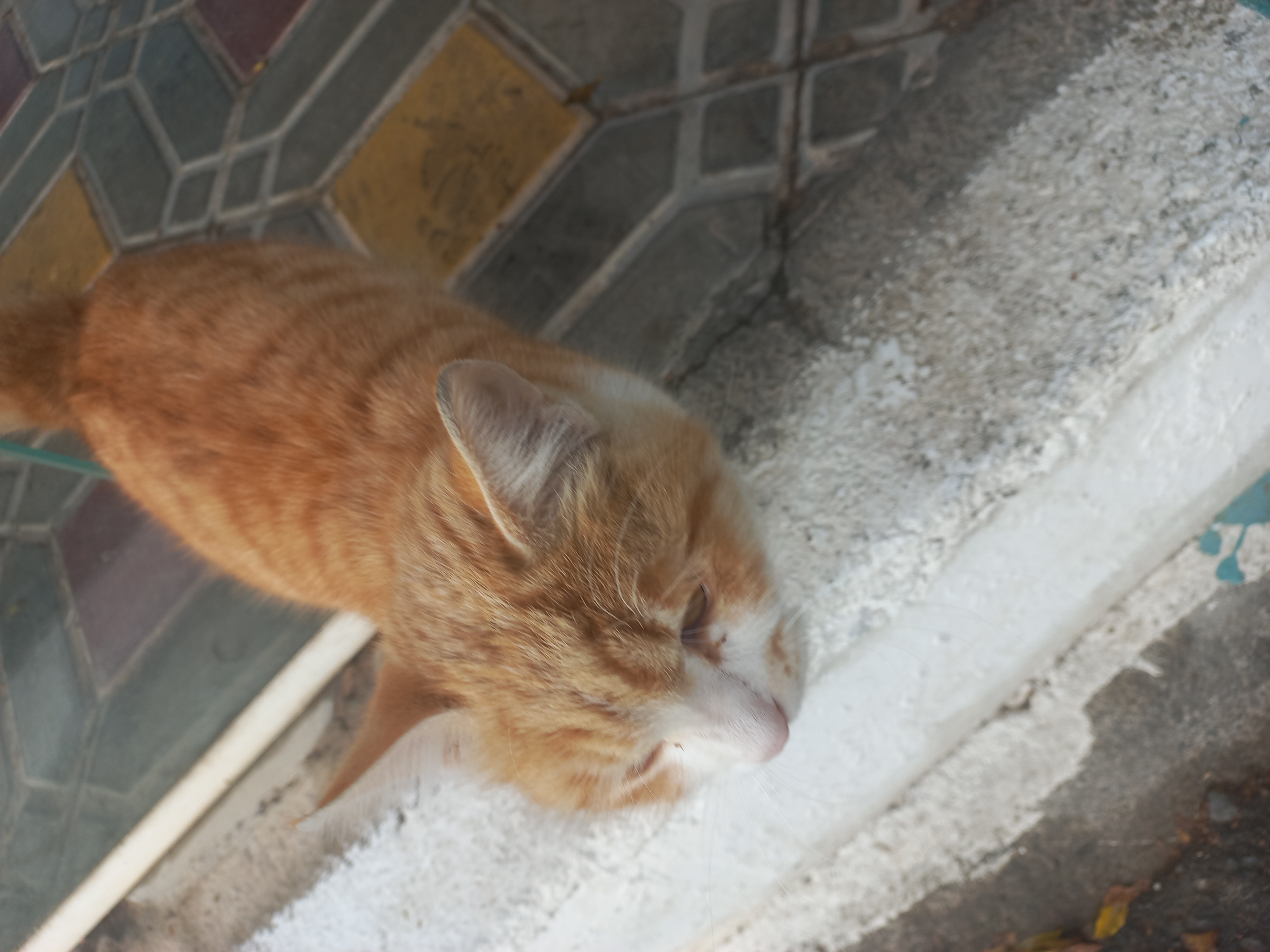 اولین دوستم توی دانشگاه!