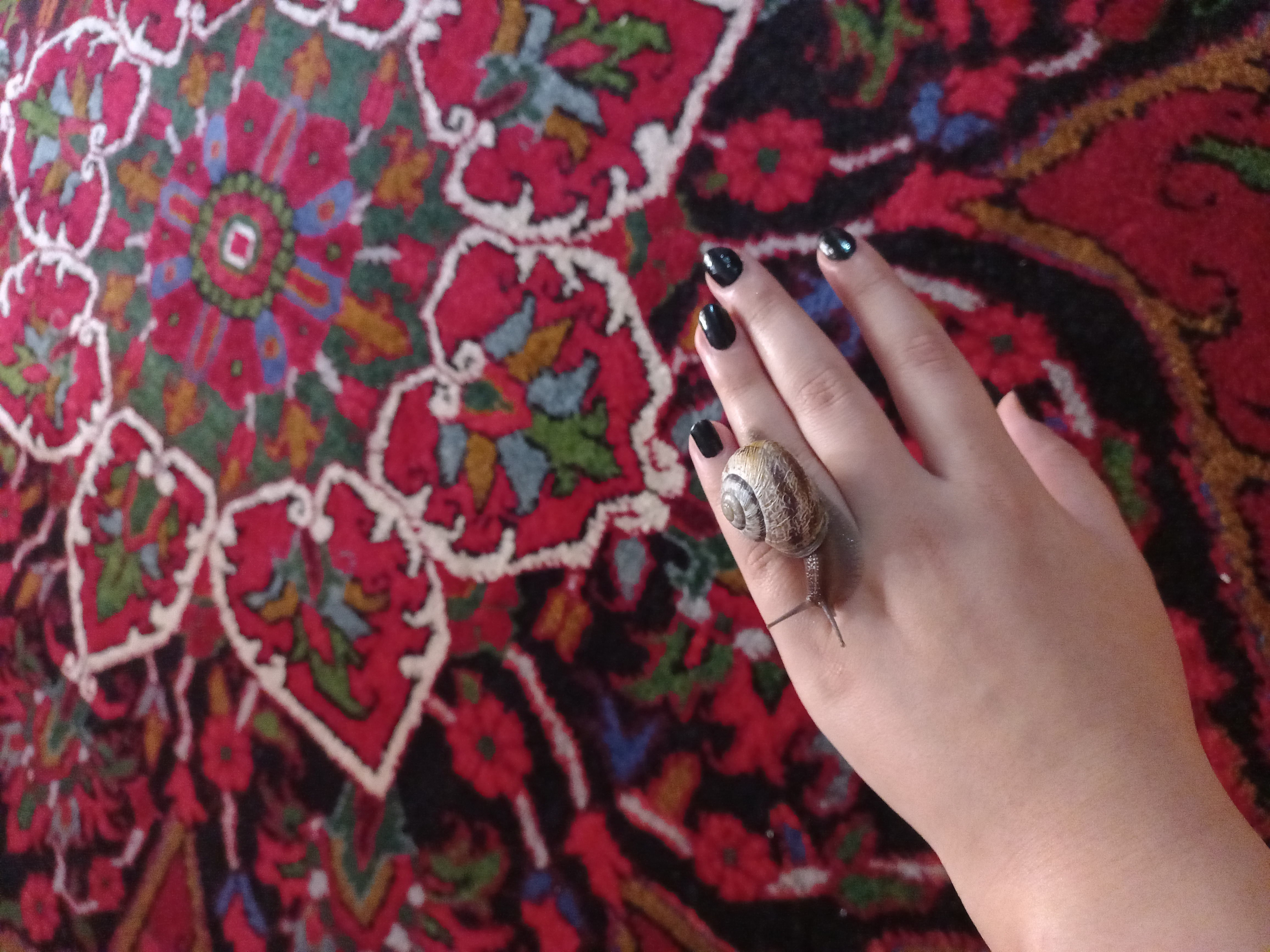 دوست خوب این روزام