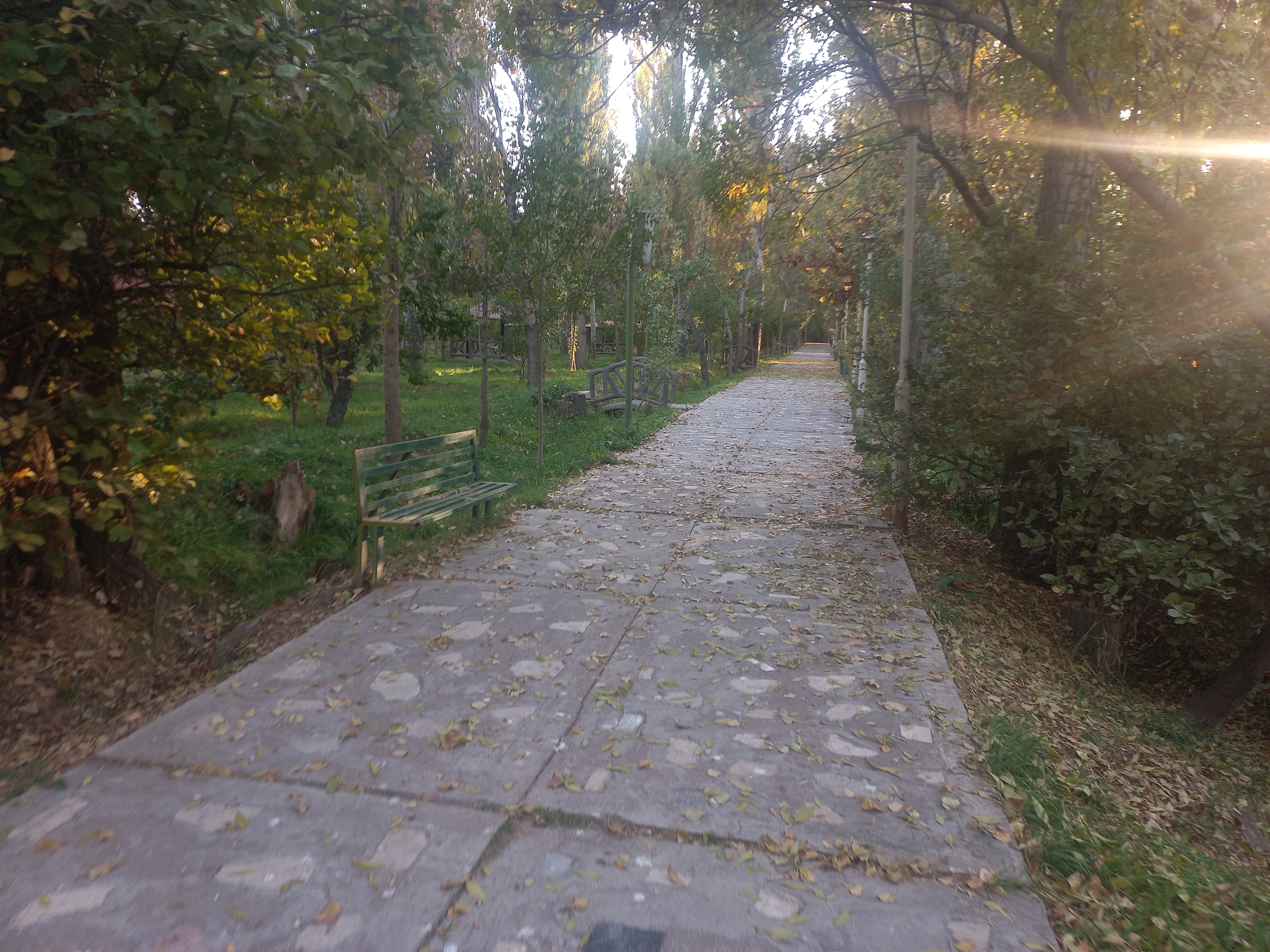 باغ دانشگاه تبریز که با زهرا رفتم!