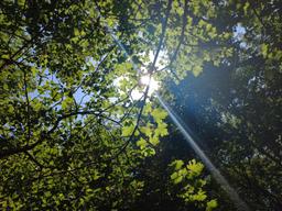 بیایید عکس بزاریم...