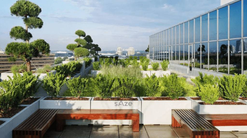 ساخت روف گاردن در پشت بام