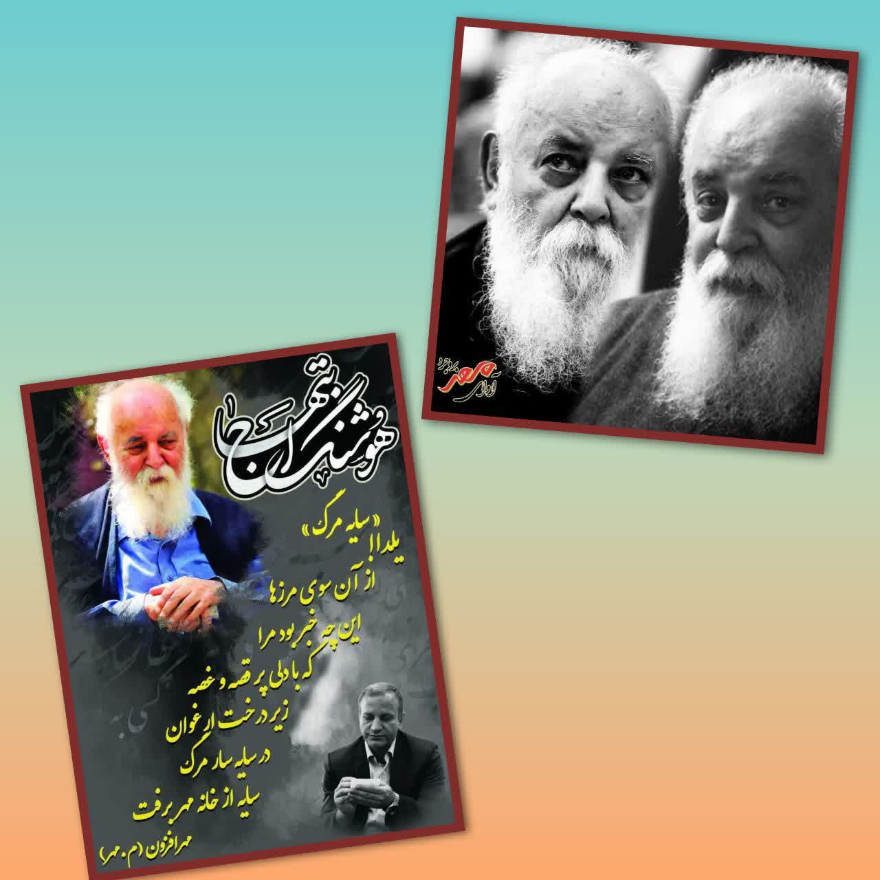 هوشنگ ابتهاج، سایه