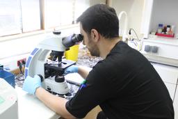 لیست آزمایش چکاپ کامل خون | بررسی کامل سلامت بدن