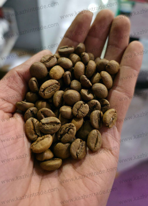 دانه رست شده قهوه چری هند