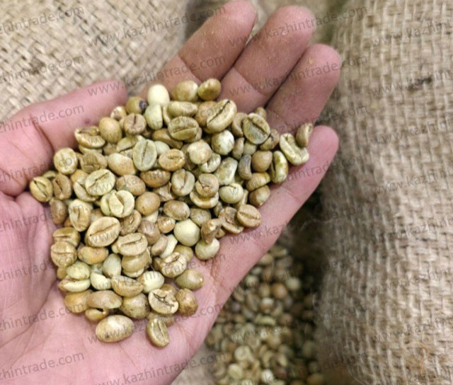 دانه سبز قهوه چری هند