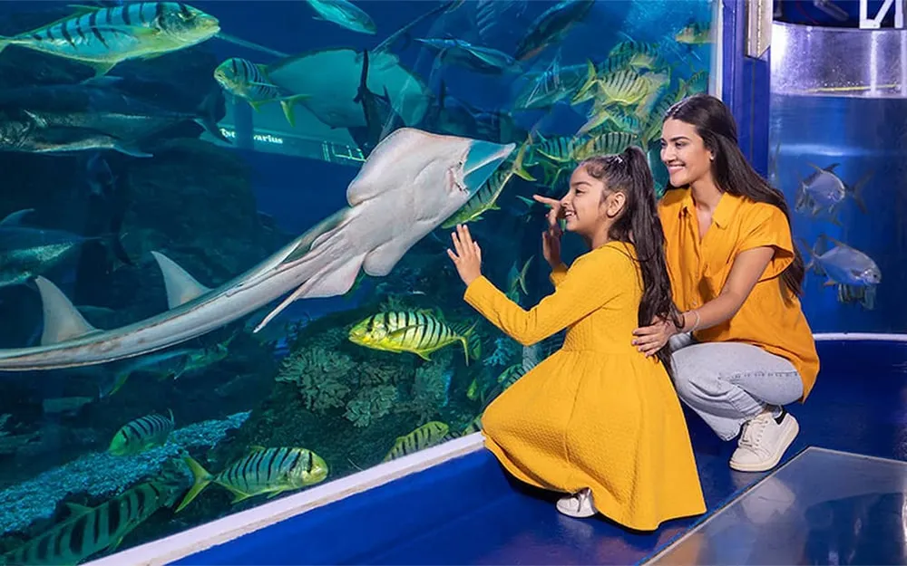 آکواریوم دبی