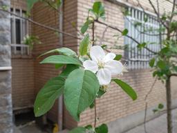 شب بخیر جمعه ۳۰ خرداد