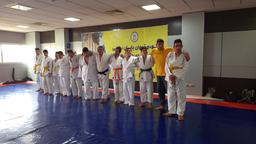 فدراسیون جودو