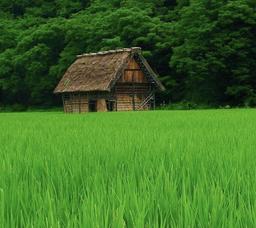 راه نشانم بده