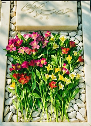 مَرثیه‌ای بَرایِ خاک