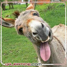 وقتی رفیقم خلیل میخنده