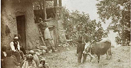 گاو سخنگوی کوزره