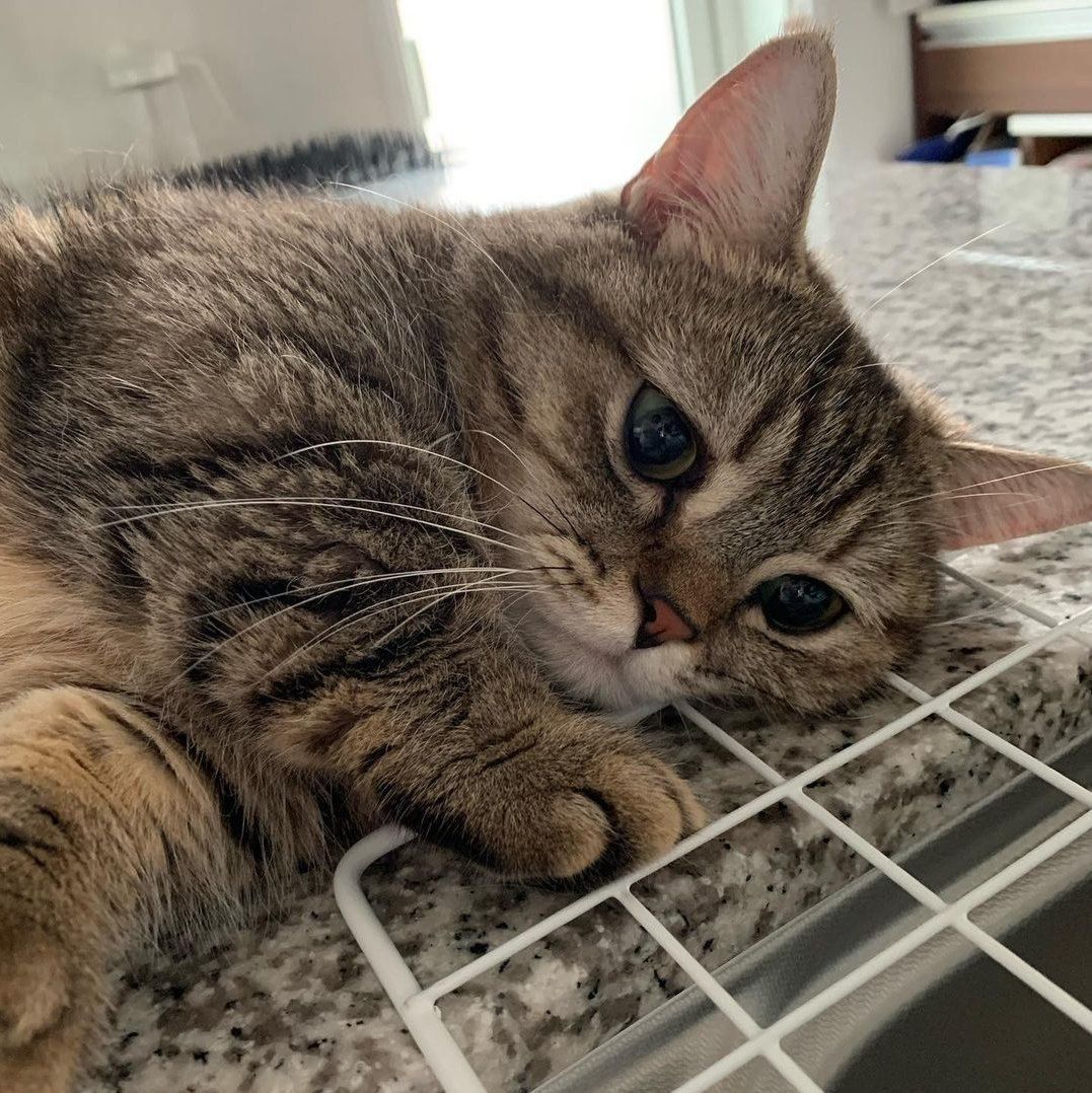 بچگی کجایی که یادت بخیر