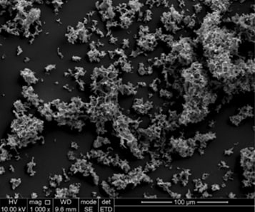 شکل2- تخلخلهای نانومتری در نمونهای از AC