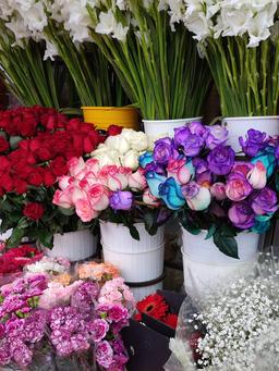 از روزهایی که کسی برخط نبود(۲)