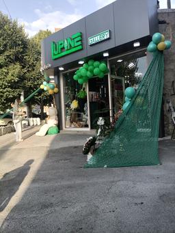 افتتاح فروشگاه LUPINE