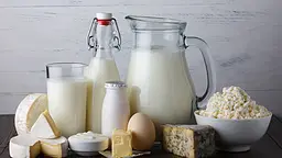 🥛 مضرات مصرف لبنیات برای سلامت انسان | چرا باید شیر و محصولات لبنی را کنار بگذاریم؟