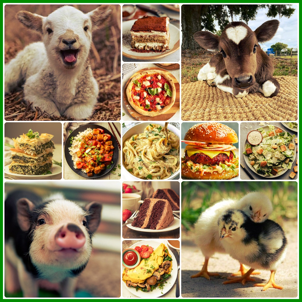 🌱 بررسی علمی شایعات و ابهامات رایج درباره رژیم‌های گیاه‌محور و وگان