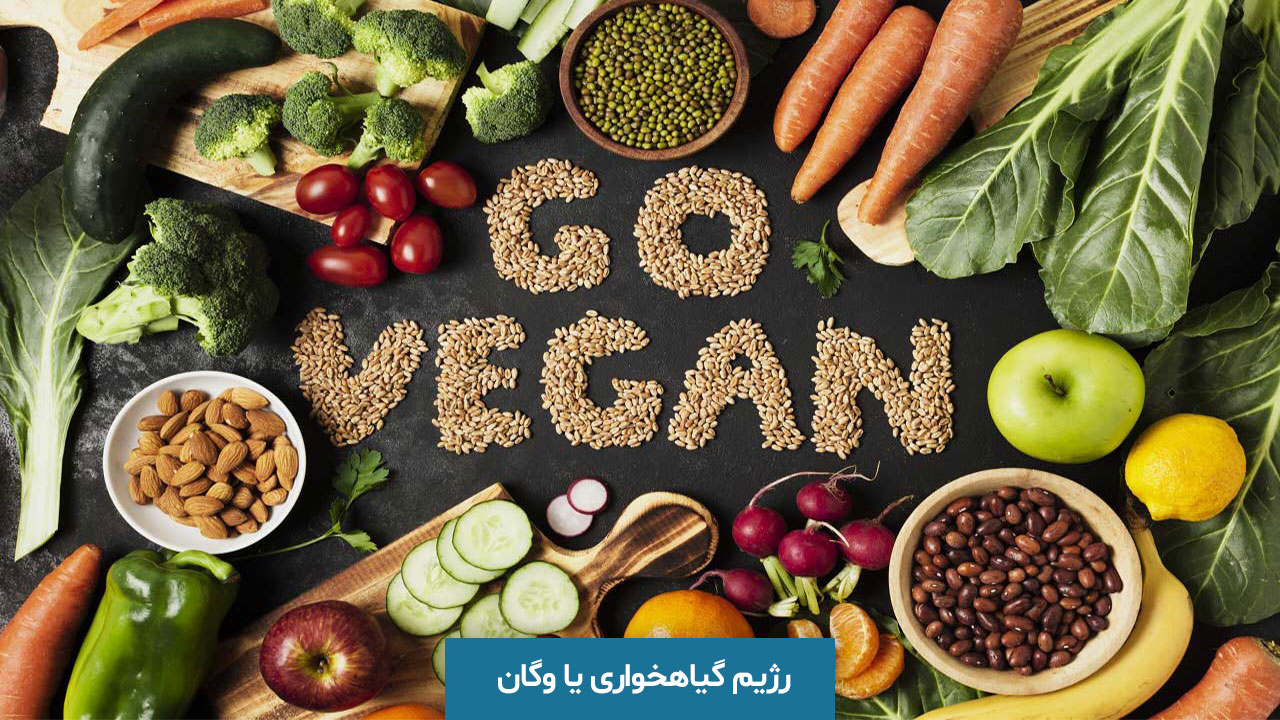 📘 راهنمای جامع تغذیه گیاه محور (وگان): تغذیه‌ای سالم، آگاهانه، بدون خشونت و سازگار با محیط‌زیست