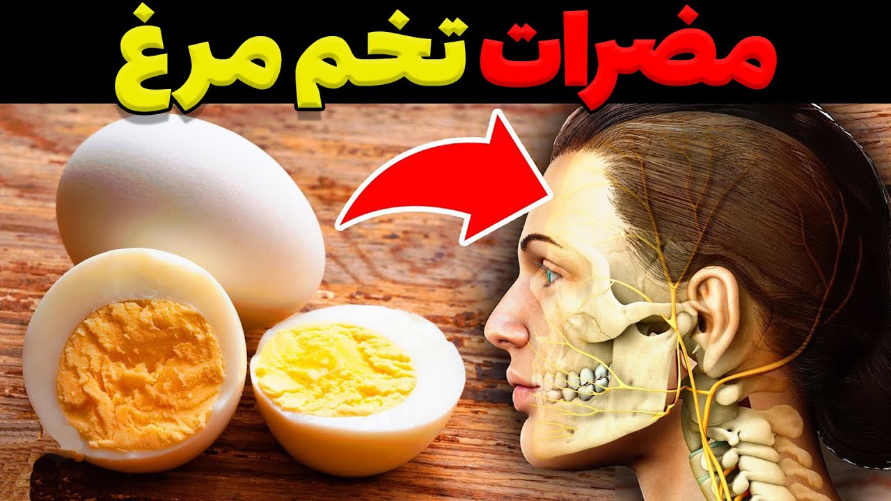 🥚 تخم‌مرغ: بررسی عمیق علمی درباره مضرات، خطرات و راهکارهای جایگزین