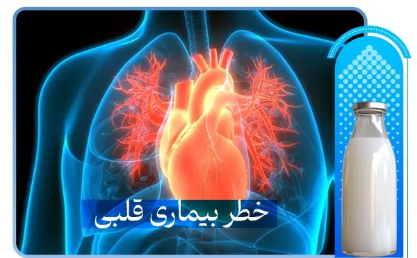 تأثیر مصرف لبنیات بر کلسترول LDL و سلامت قلب: نگاهی علمی و تحلیلی