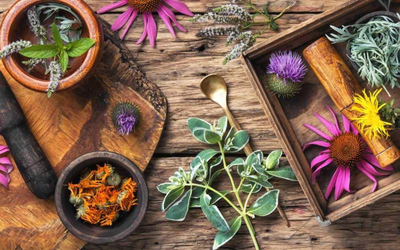 کنترل هورمون‌ها با گیاهان: یک رویکرد جامع برای سلامت، عدالت برای حیوانات و حفاظت از زمین