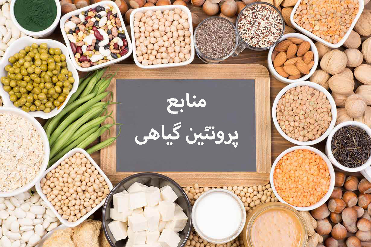 منابع پروتئین گیاهی: جایگزینی سالم و پایدار
