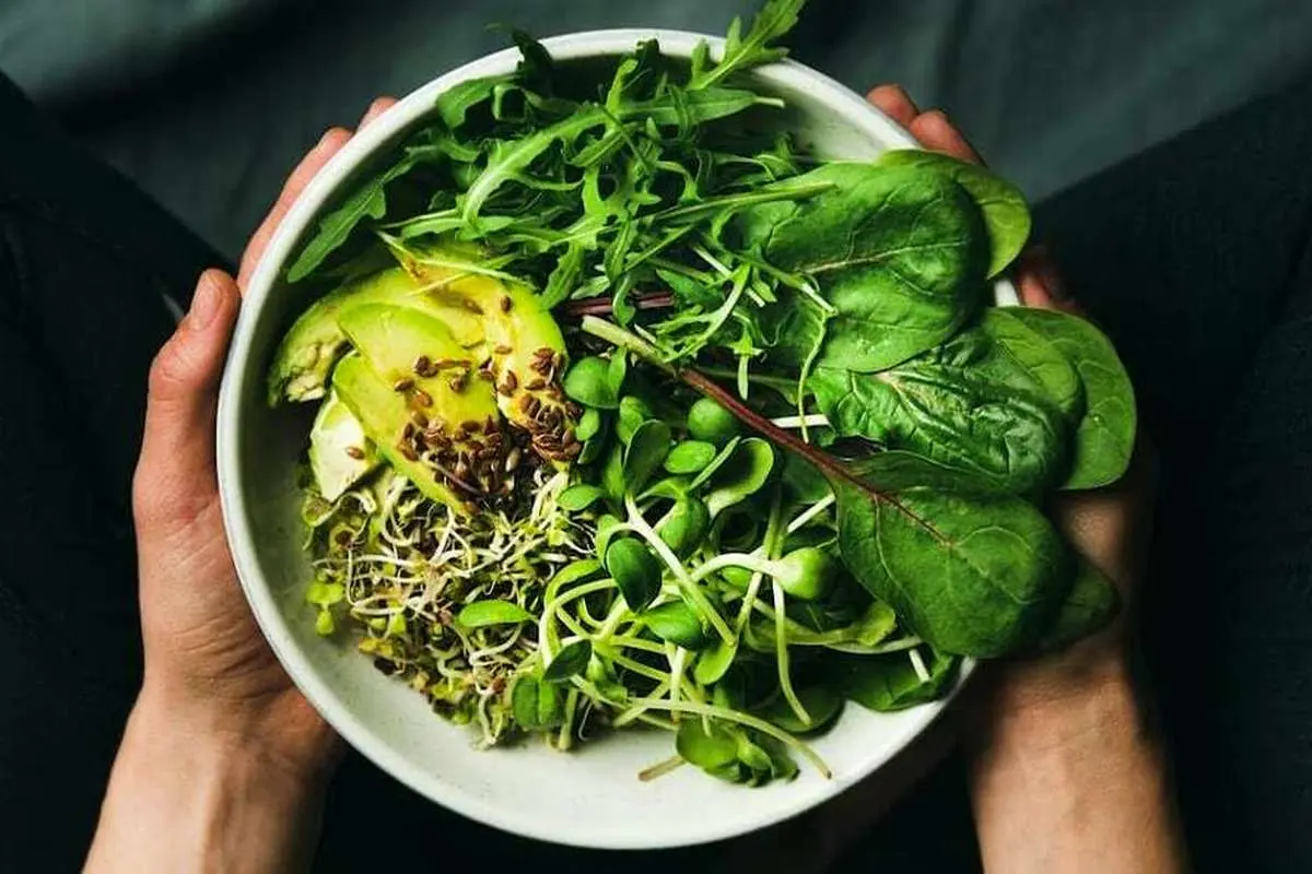 گیاهخواری و افزایش انرژی روزانه — انتخابی برای بدن، فکر و جهان بهتر