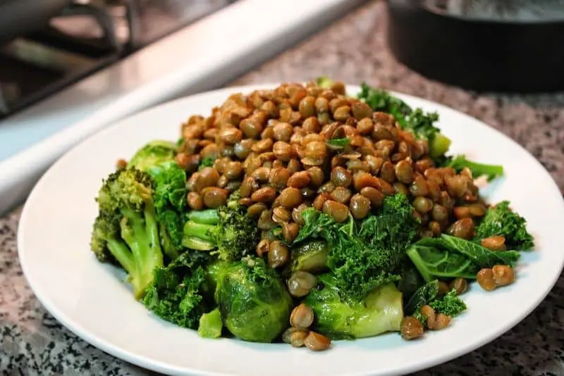 چگونه گیاهخواری را بدون گوشت شروع کنیم؟ نگاهی انسانی، مستند و اخلاق‌محور به تغذیه‌ای مهربان‌تر