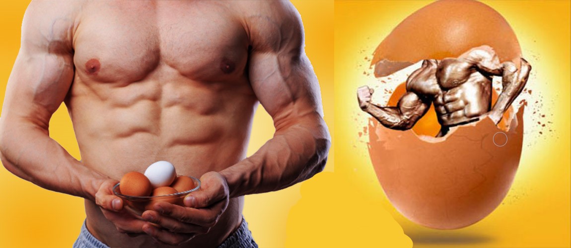 نقش مصرف تخم‌مرغ در اختلالات هورمونی ورزشکاران