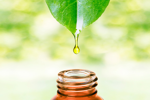 انتخاب بهترین روغن‌های گیاهی سالم: راهنمای علمی و انسانی برای سبک زندگی بهتر