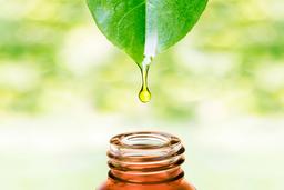 انتخاب بهترین روغن‌های گیاهی سالم: راهنمای علمی و انسانی برای سبک زندگی بهتر