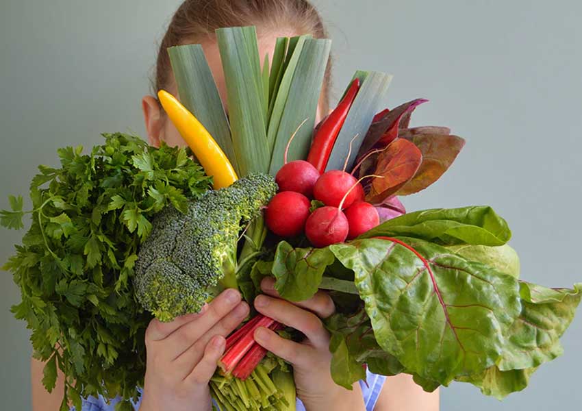 چگونه خانواده را با گیاه‌خواری آشنا کنیم؟