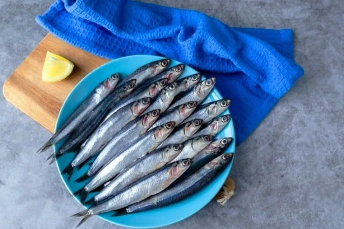 اثرات مصرف ماهی بر اختلالات عصبی سالمندان و جایگزین‌های سالم